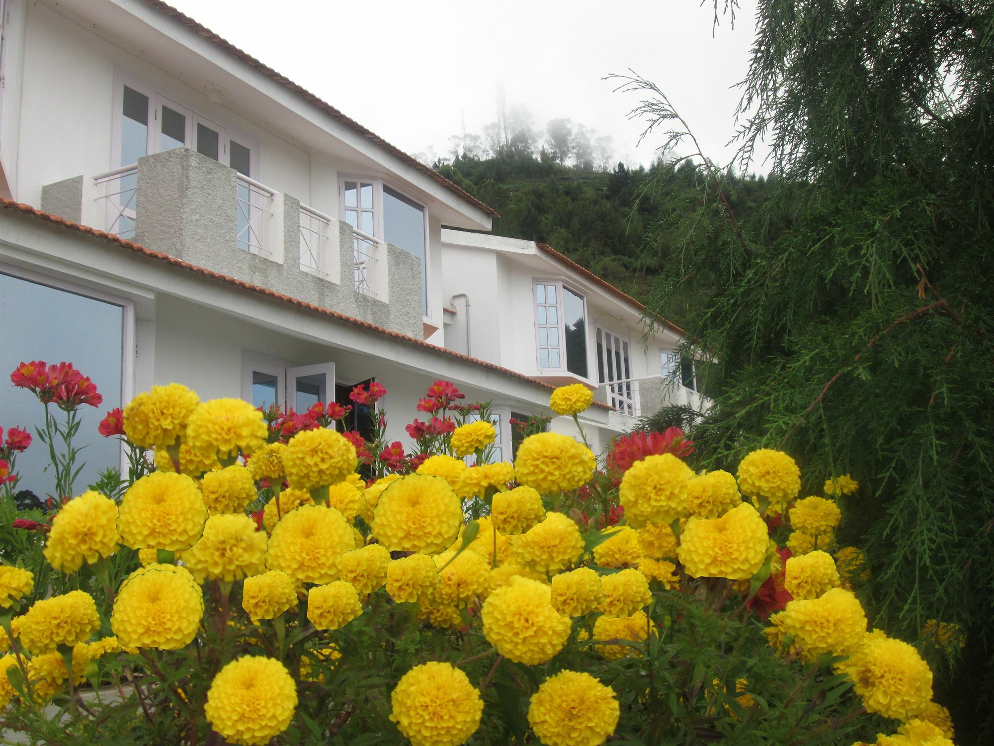 Country Club Valley Vista Kodaikanal Luaran gambar